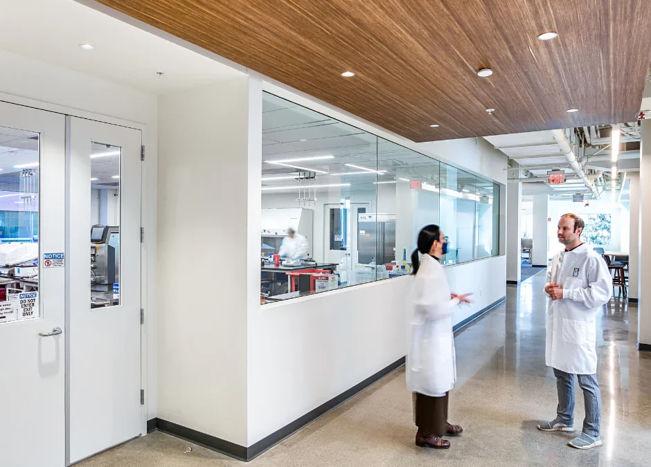 Healthier Spaces with Wall Protection