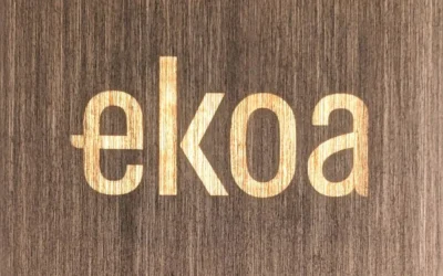 Ekoa® Backlighting Guide