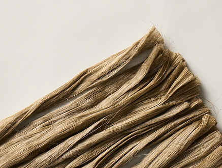 photo-fabric2 Fabric