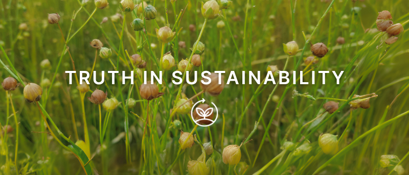 flax, field, plant, green, truth, sustainability,