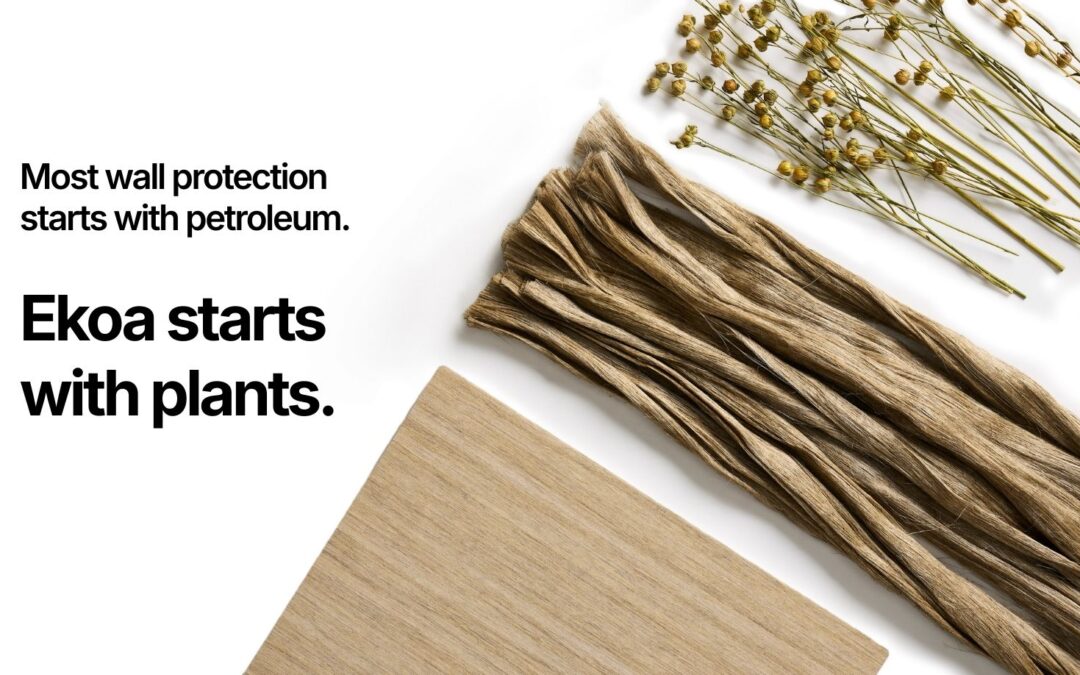 Image of flax plants & fibers with a sample of Ekoa