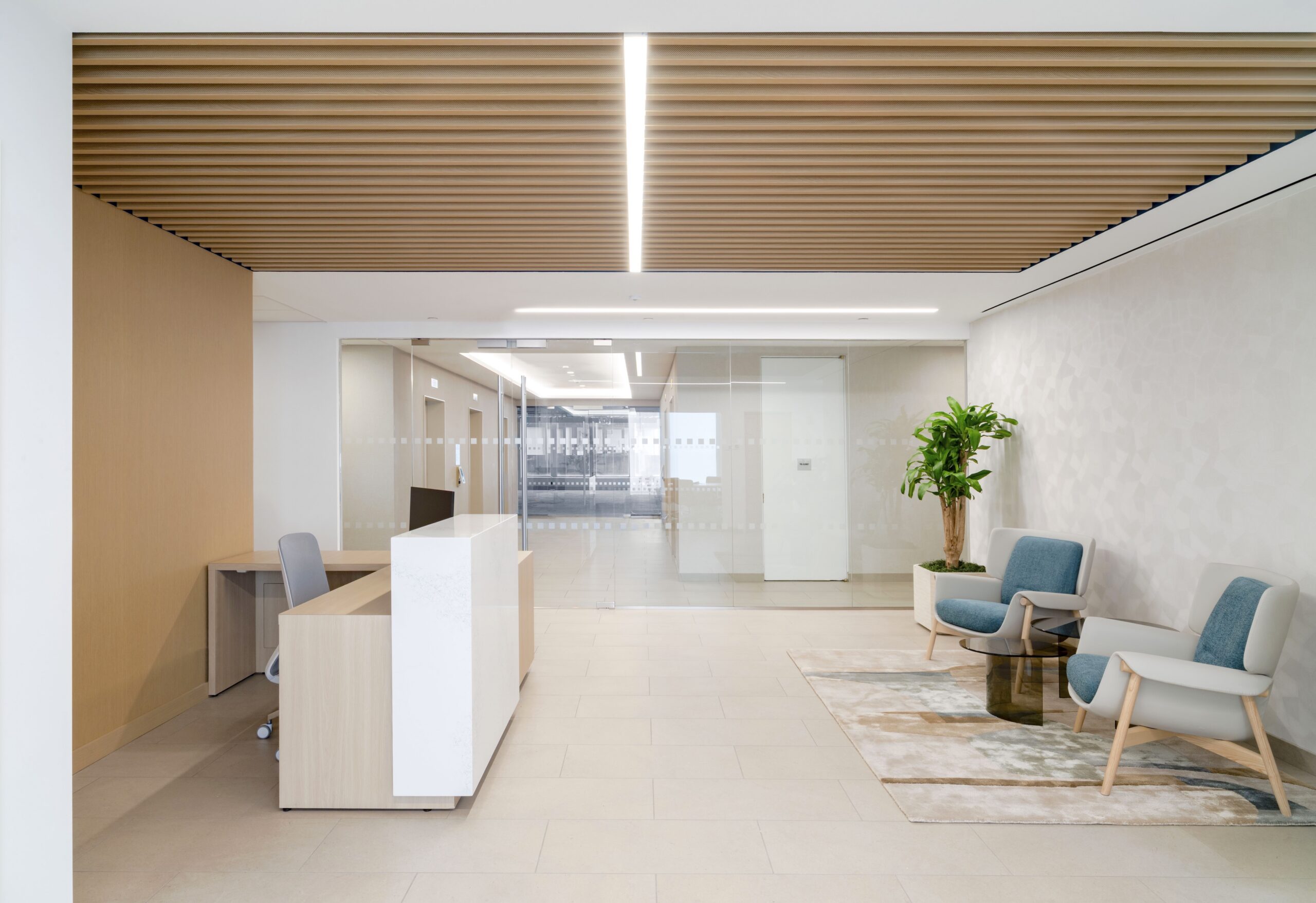 Ekoa wall surfaces at a nonprofit office, State Street, New York, New York