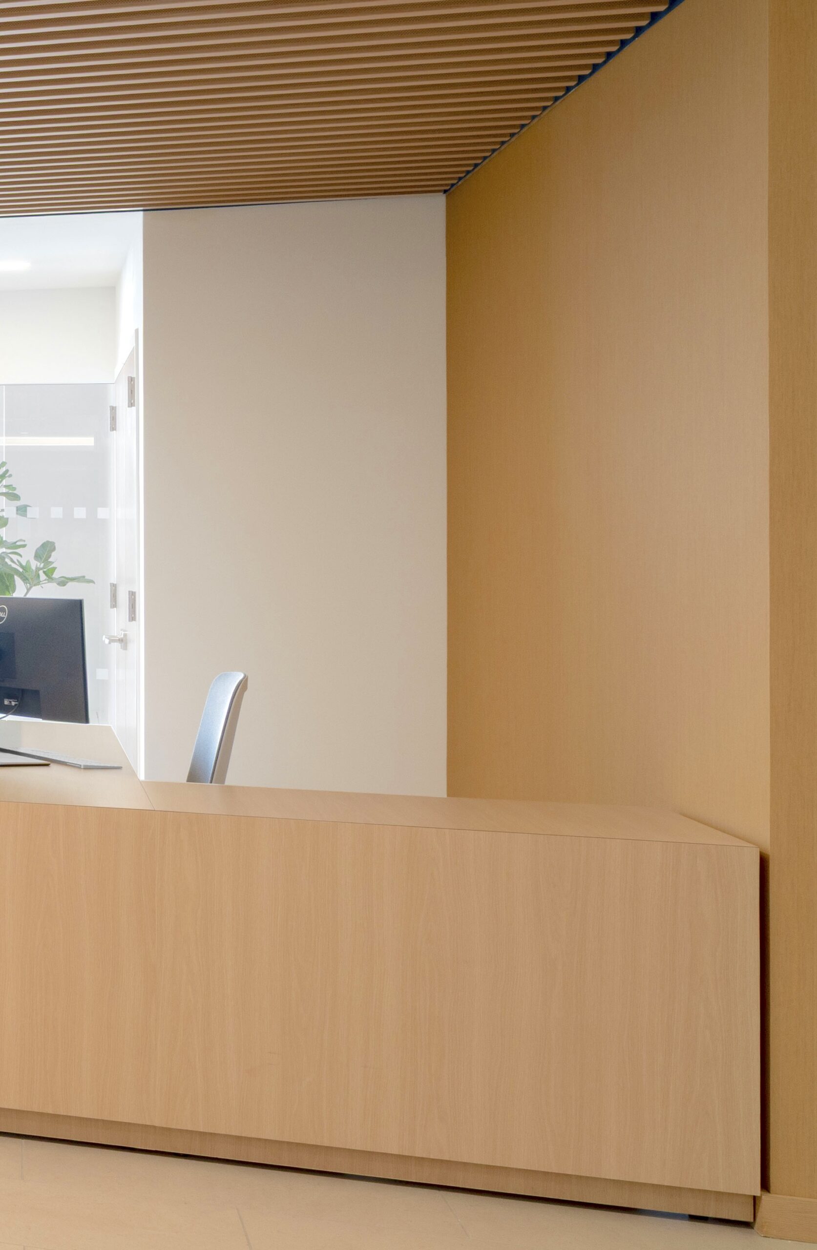 Detail of Ekoa wall surfaces at a nonprofit office, New York, New York